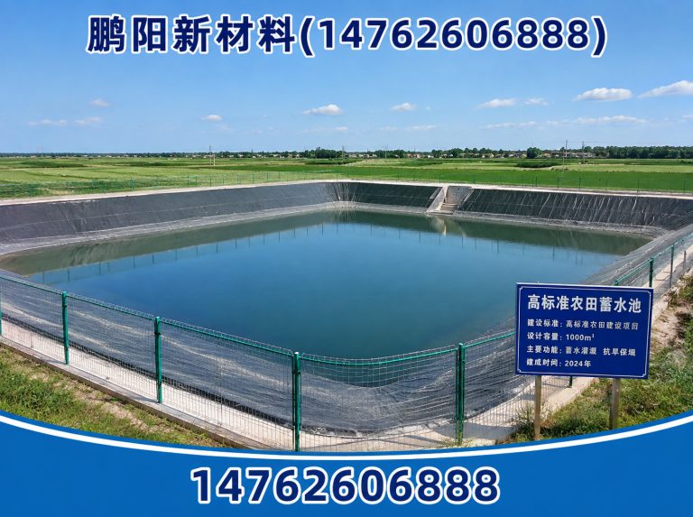 泗阳县滴灌蓄水池展示图